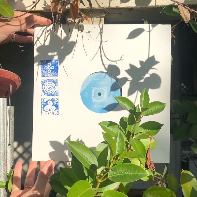 hands holding a blue record among plants